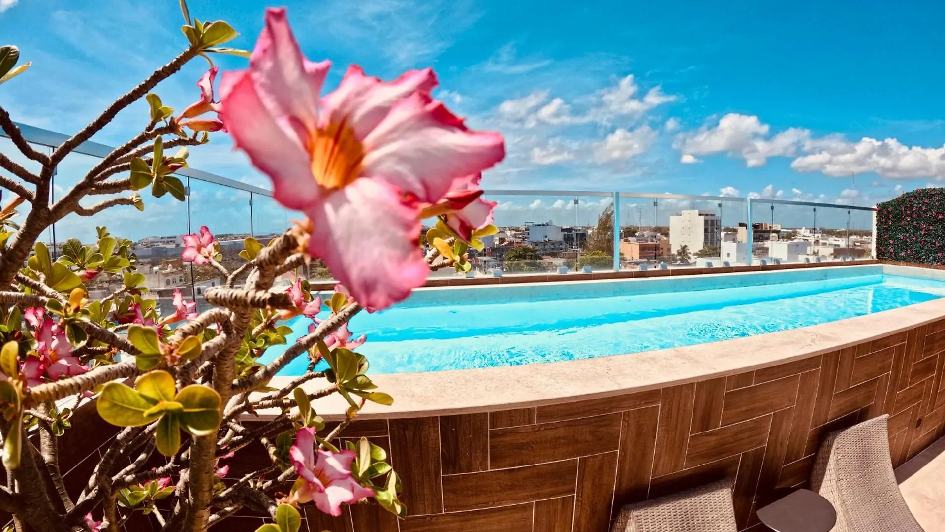 Apartment Studios With Roofpool In Vanessa 24 Playa del Carmen